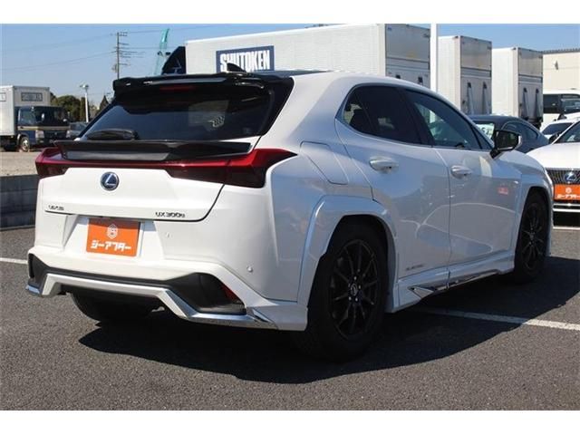 LEXUS UX300e