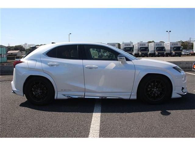 LEXUS UX300e