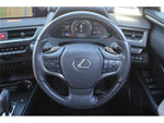 LEXUS UX300e