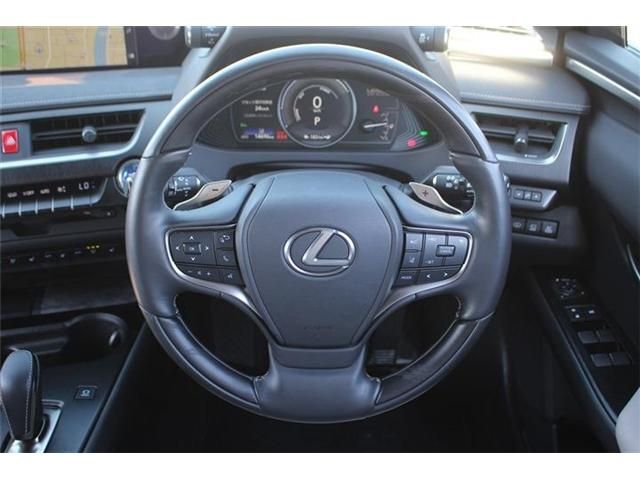 LEXUS UX300e