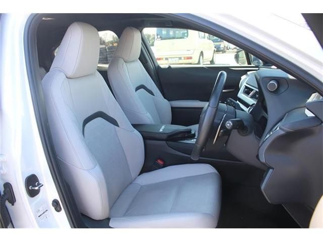 LEXUS UX300e