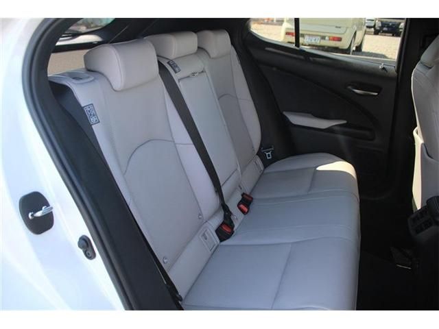 LEXUS UX300e