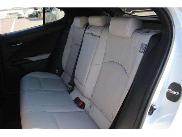 LEXUS UX300e