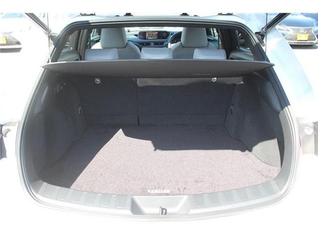 LEXUS UX300e