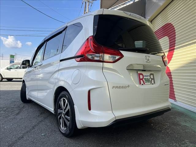 FREED plus HYBRID