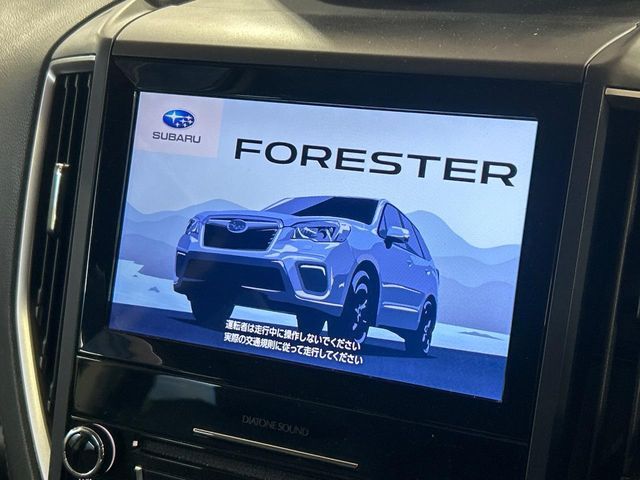 FORESTER