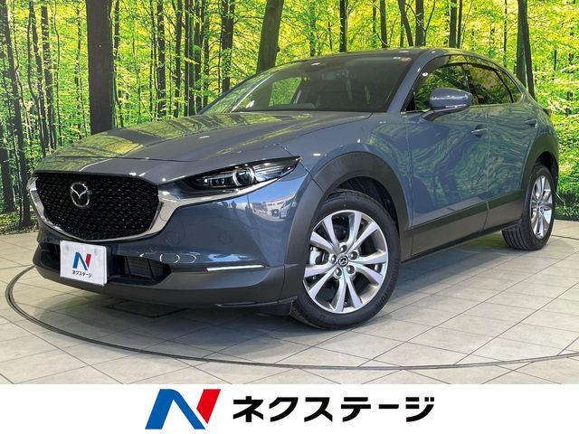 CX-30