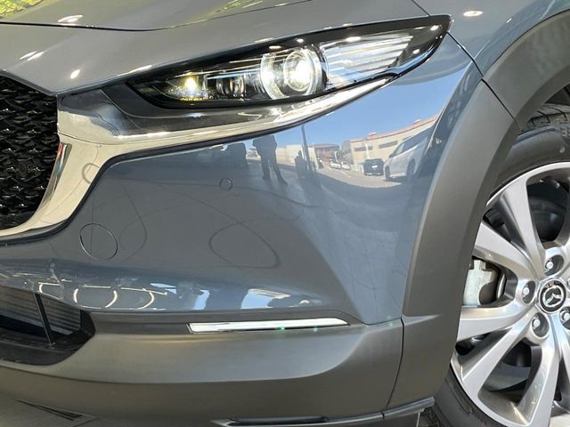 CX-30