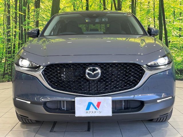 CX-30