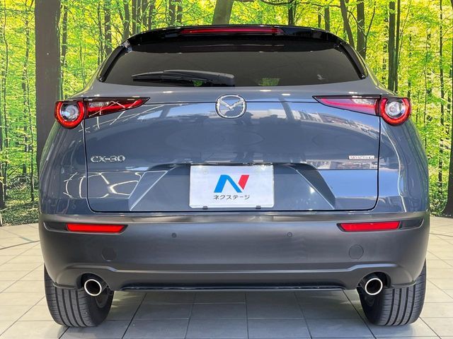 CX-30
