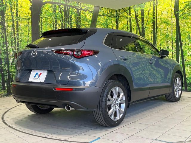 CX-30