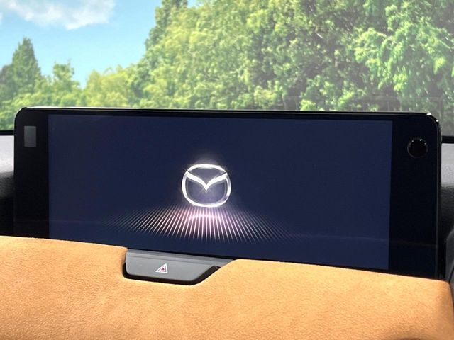 CX-80