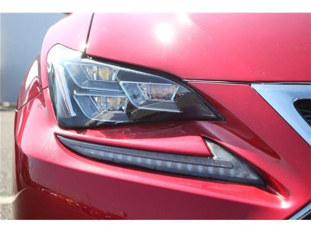 LEXUS RC300h