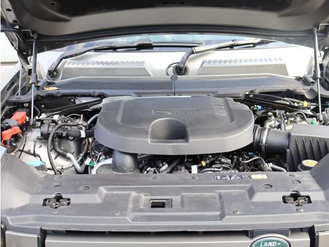 ROVER DEFENDER