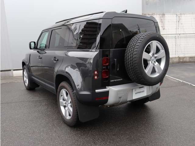 ROVER DEFENDER