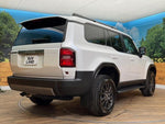 LANDCRUISER 250