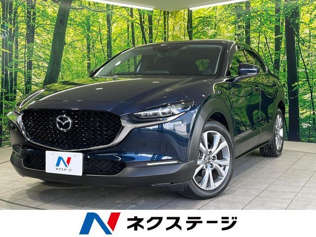 CX-30