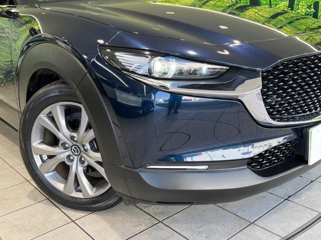 CX-30