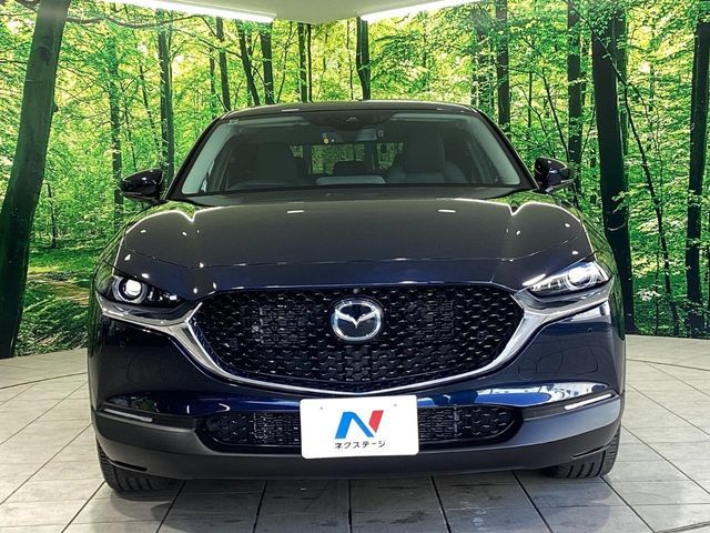 CX-30