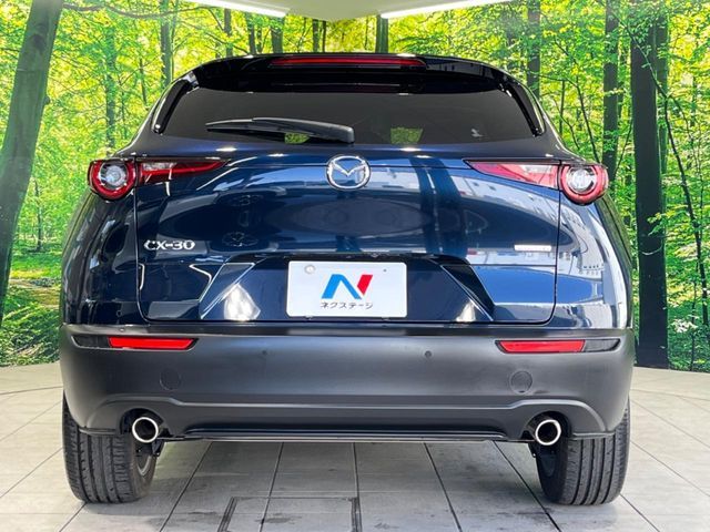 CX-30