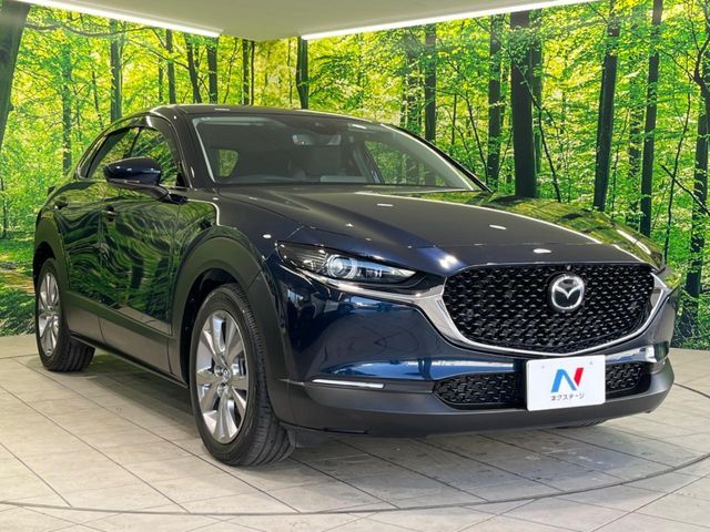 CX-30