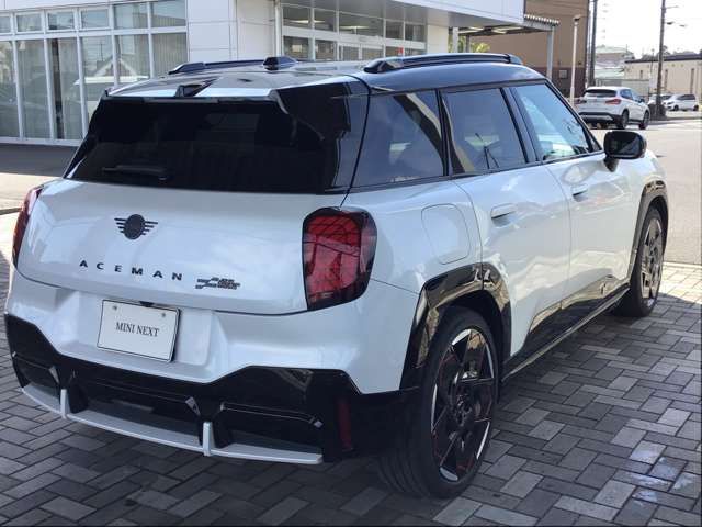 MINI ACEMAN