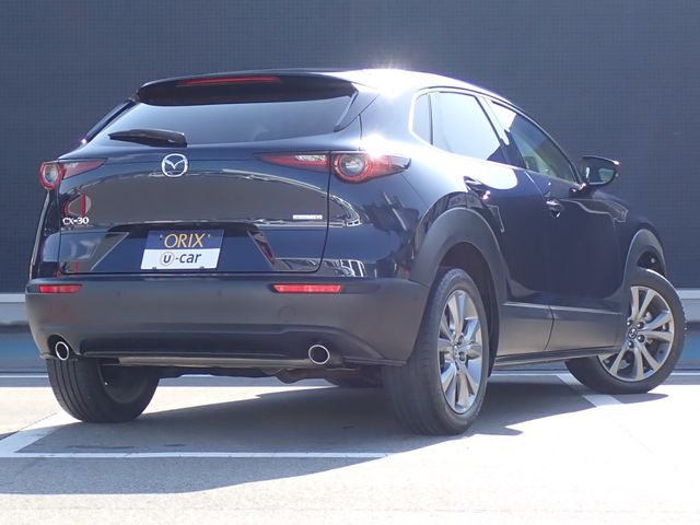 CX-30