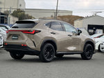 LEXUS NX350 AWD