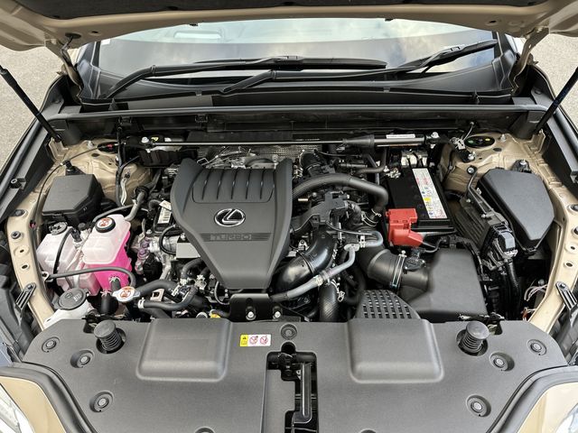 LEXUS NX350 AWD