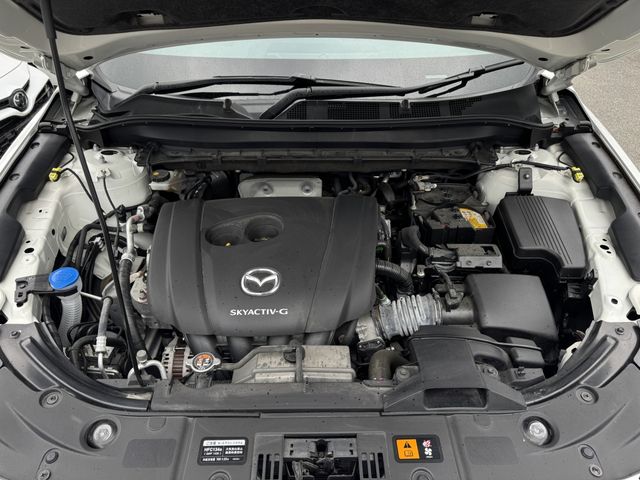 CX-8