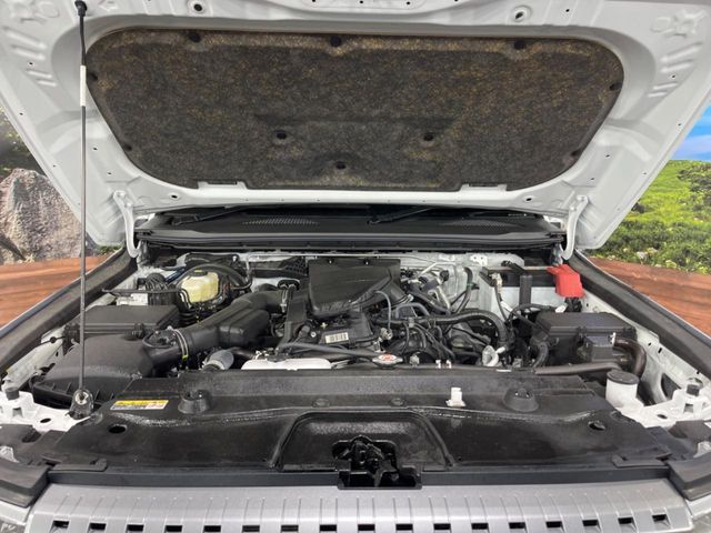 LANDCRUISER 250