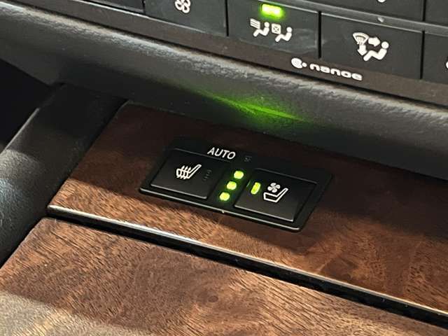 LEXUS GS300h