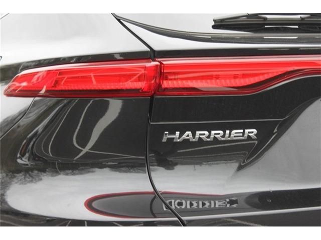 HARRIER HYBRID