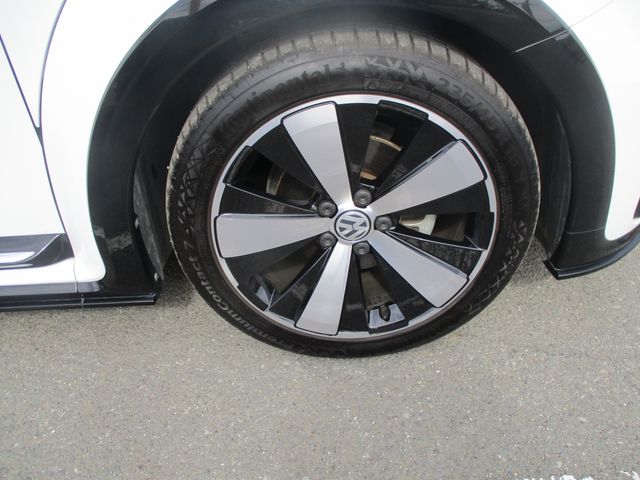 VOLKSWAGEN The BEETLE