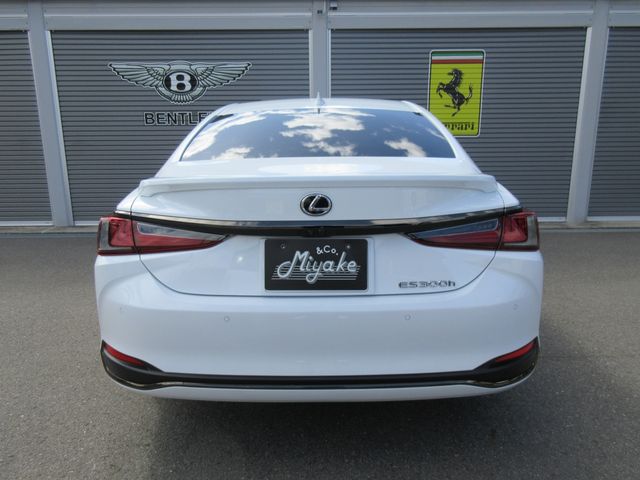 LEXUS ES300h