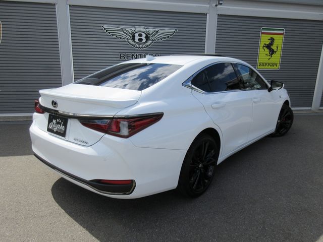 LEXUS ES300h