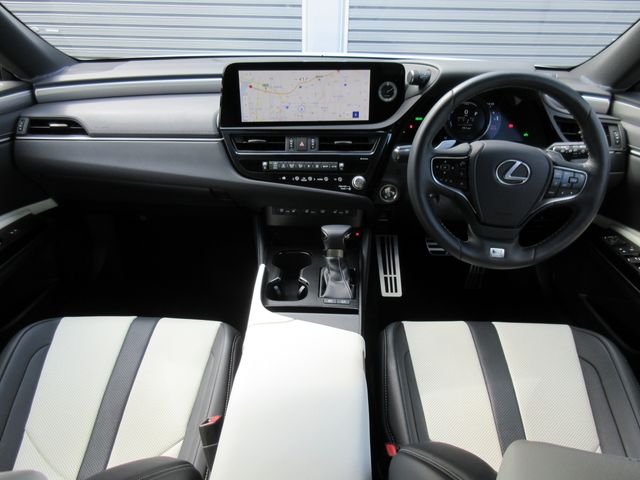 LEXUS ES300h