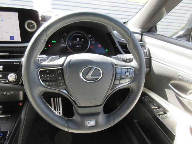 LEXUS ES300h