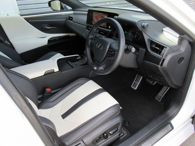 LEXUS ES300h