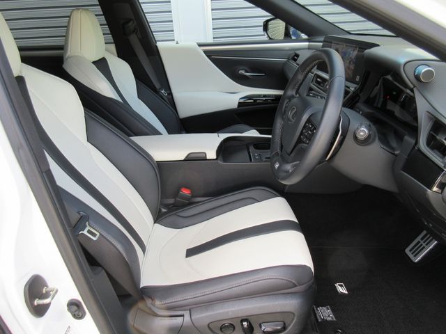 LEXUS ES300h