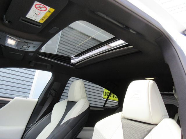 LEXUS ES300h