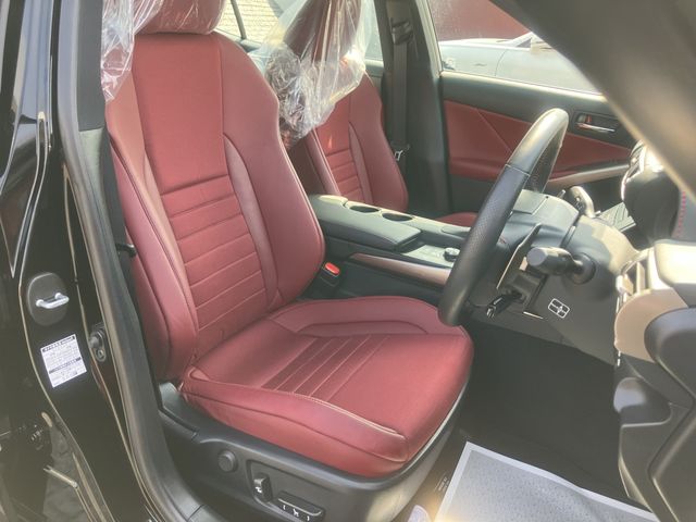 LEXUS IS300h