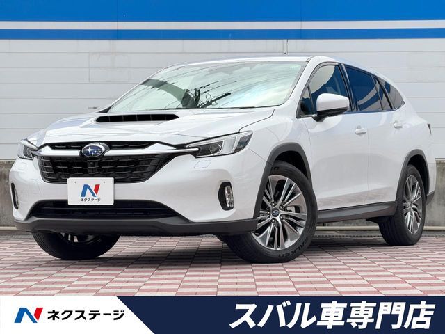 LEVORG LAYBACK