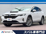 LEVORG LAYBACK