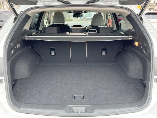 LEVORG LAYBACK