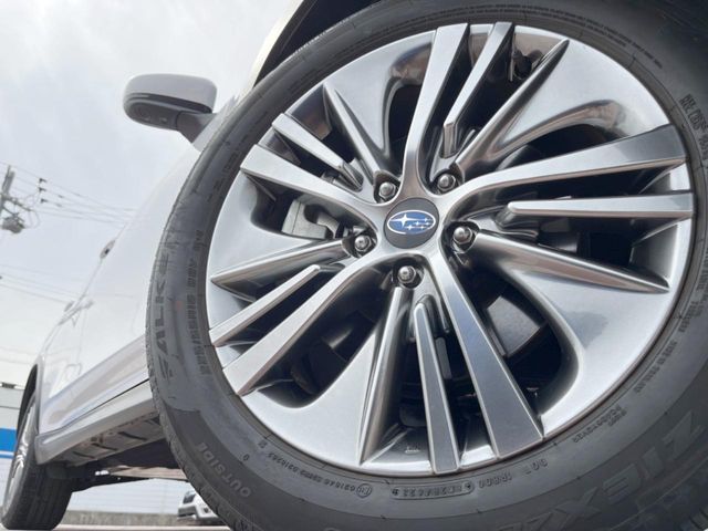 LEVORG LAYBACK