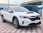 LEVORG LAYBACK