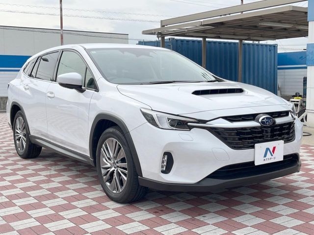 LEVORG LAYBACK