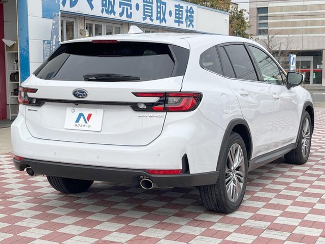 LEVORG LAYBACK