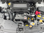 LEVORG LAYBACK